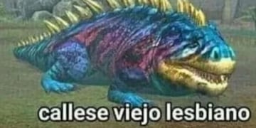 Cállese, viejo lesbiano (Web)