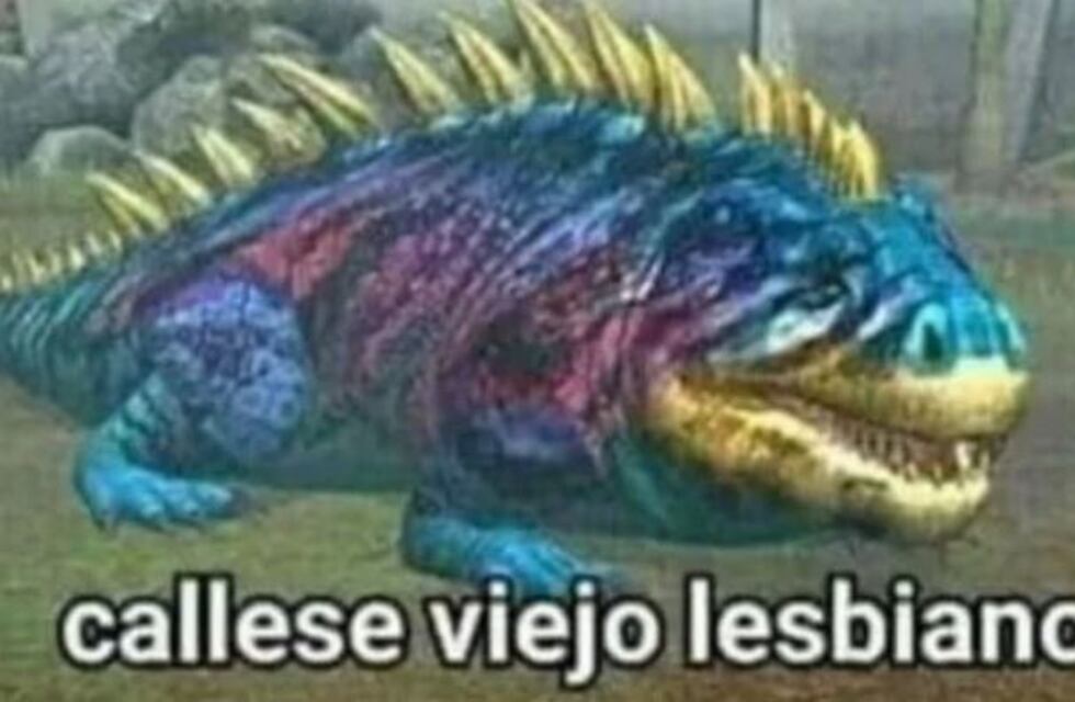 Revelaron el origen del meme "cállese, viejo lesbiano"