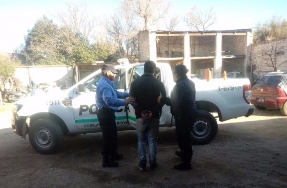 En un ataque de furia golpeó a su ex, a una policía y a un perro en la puerta de un juzgado