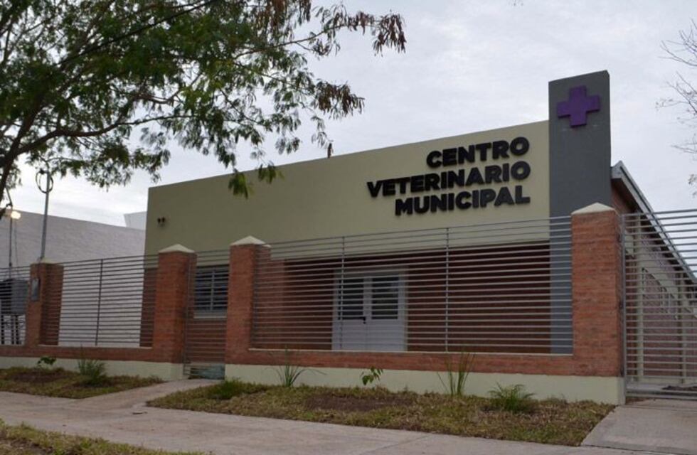 Atención básica para tu mascota en el Centro Veterinario Municipal