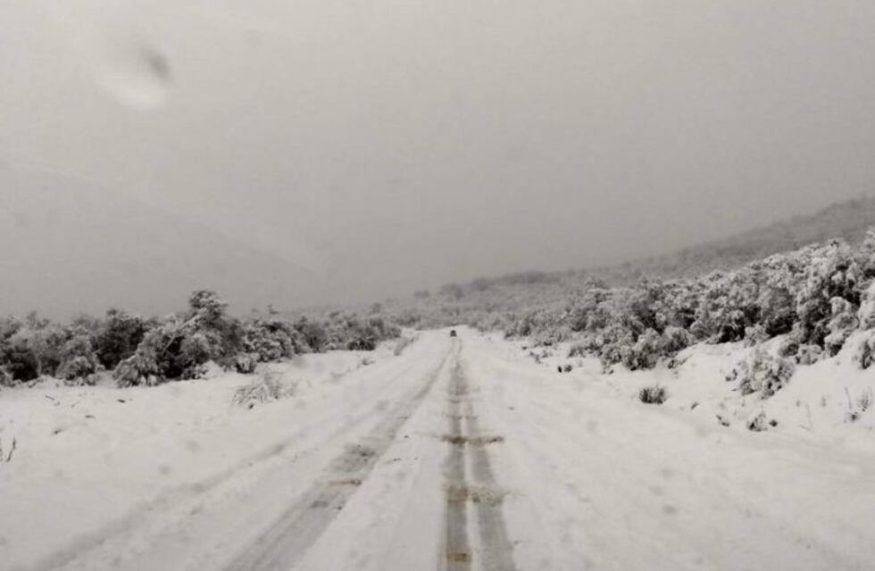 La impresionante llegada del Tren Patagónico a Bariloche en medio del temporal de nieve