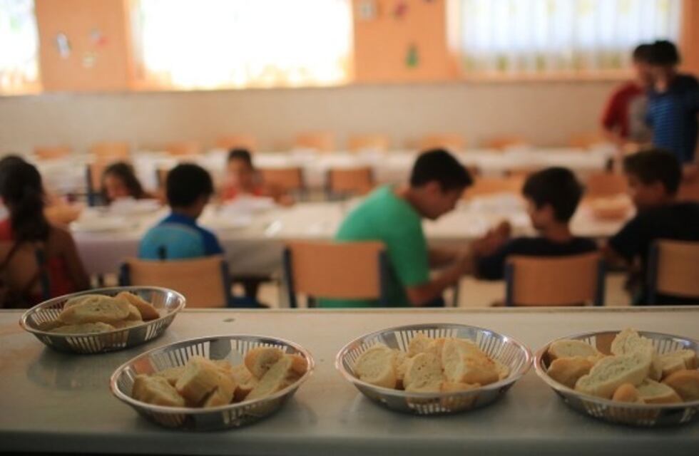 Licitación servicio alimentario escolar