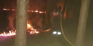 Se registraron varios incendios forestales en los últimos días en Eldorado