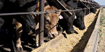 Estafado con cheques sin fondos\u002E