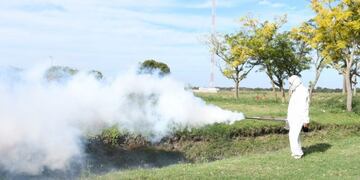 Sigue la fumigación para evitar casos de dengue