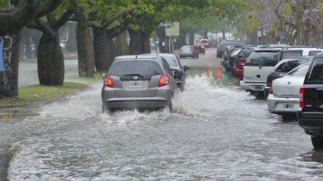 La lluvia trajo frescura a la ciudad, pero no por mucho tiempo.