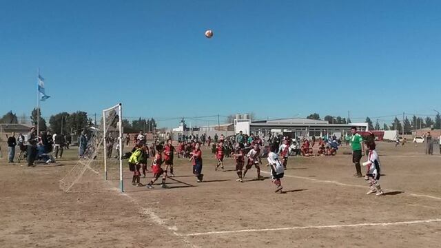 Suspendidos los torneos de LIFIPA