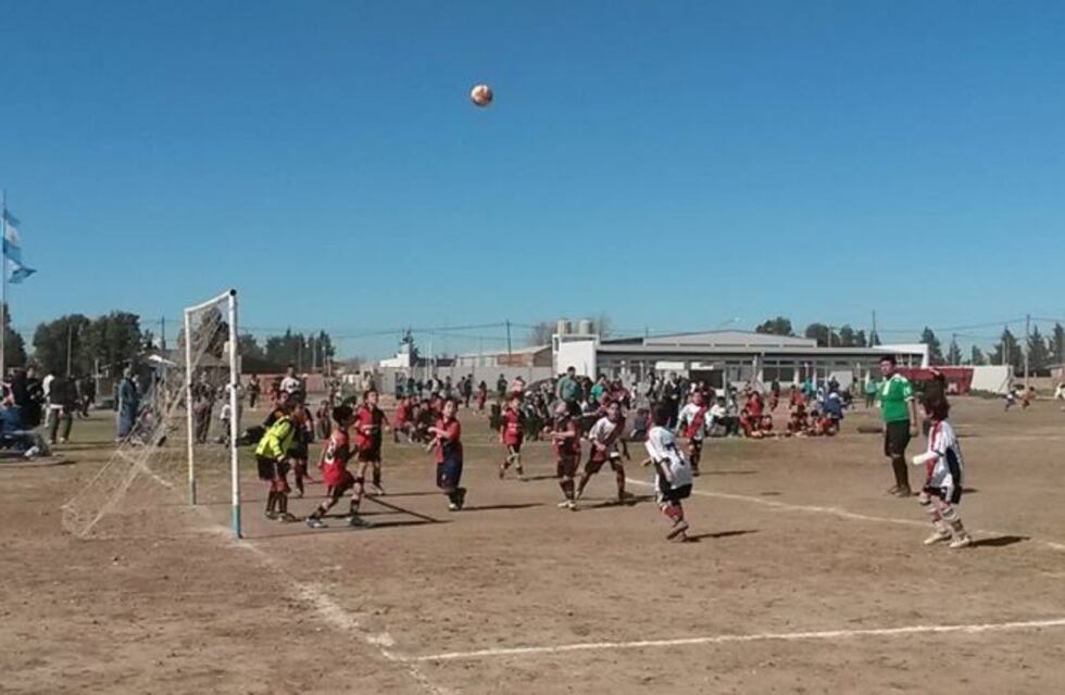 Los niños sin fútbol: LIFIPA suspendió los torneos, ambiente de miedo en los clubes