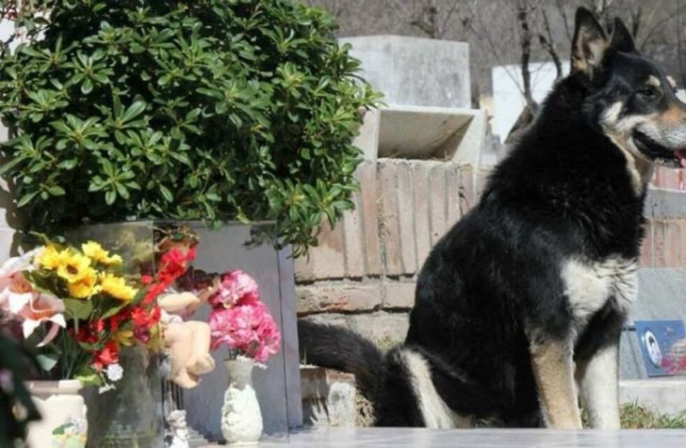 Carlos Paz: la próxima semana comenzarán a construir el monumento a Capitán