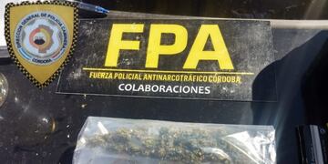 Detenido por tenencia de marihuana