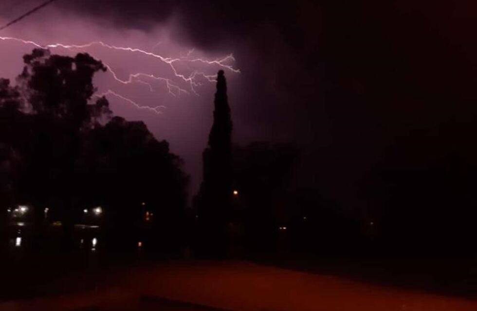 La fuerte tormenta de granizo en el Sur mendocino afectó zonas cultivadas