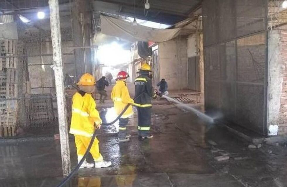 Denuncian que el mercado de Orán es un foco infeccioso de hantavirus y dengue