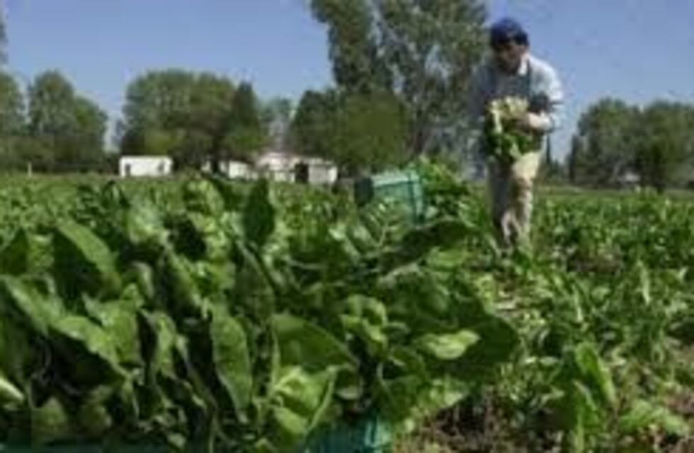 Los productores de la Colonia Tres Pozos tendrán la titularidad de sus tierras