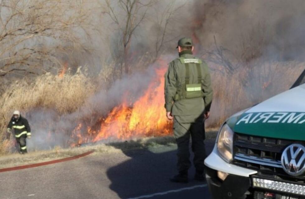 Incendio forestal interrumpió el tránsito en la Ruta 40