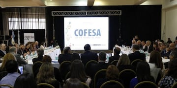 Reunión de COFESA (Vía Resistencia)\u002E