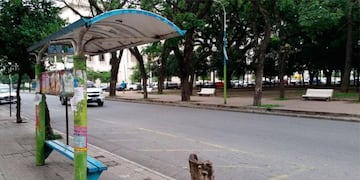 El paro de colectivos se siente con fuerza en Tucumán.
