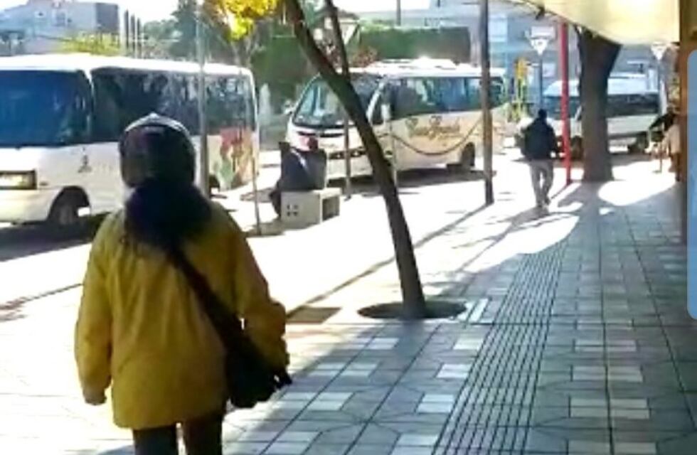 Transportes turísticos y agencias de viaje realizaron una masiva caravana en Carlos Paz