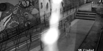 Se llevó una tapa de cabina con la figura de Bob Esponja\u002E (Canal Nicoleño)