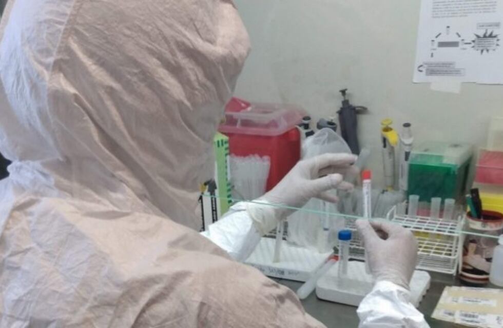 Dióxido de cloro, ivermectina y suero equino: el debate sobre si son eficaces para tratar el coronavirus