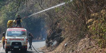 Incendios: aseguran que el daño a la biodiversidad de los cerros \