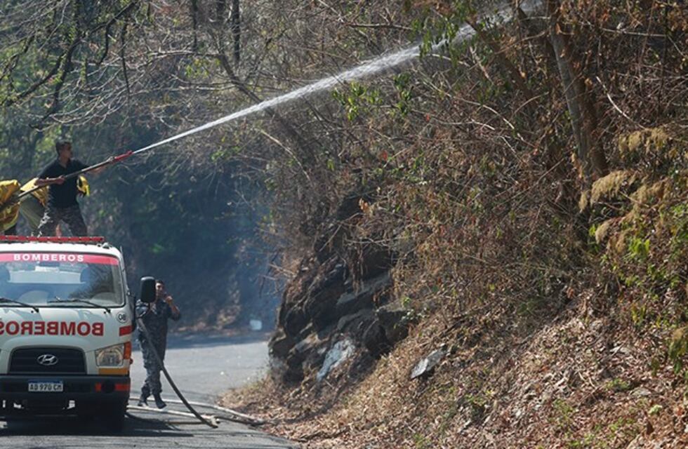 Incendios: aseguran que el daño a la biodiversidad de los cerros "es grave"