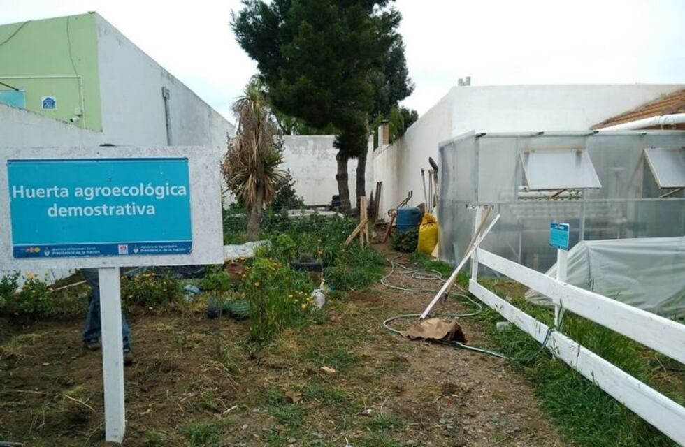 INTA: el antes y el después del patio de su predio