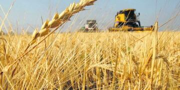 Cereal en negro\u002E