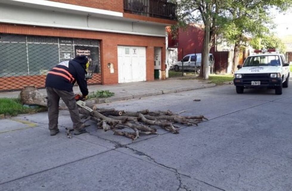 Hubo caída de árboles y cortes de luz en Mar del Plata por las fuertes ráfagas de viento