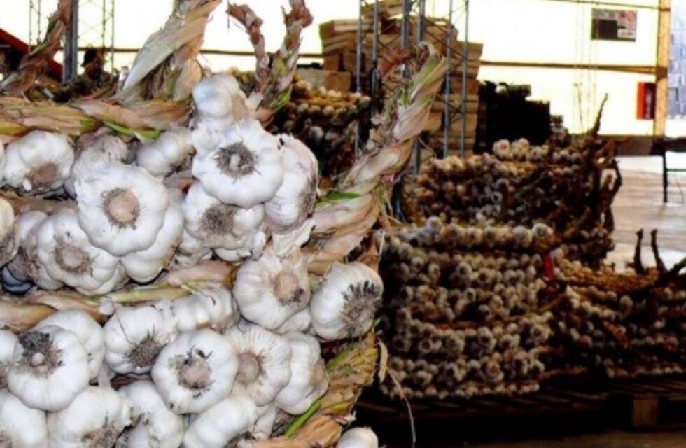 Las exportaciones de ajo crecieron un 29% en Mendoza