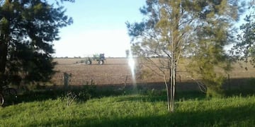 Los docentes públicos de la provincia volvieron a denunciar casos de fumigaciones a metros de escuelas rurales, esta vez en el departamento General Obligado\u002E (Amsafe)