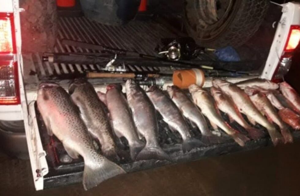 Detuvieron a cinco personas por pesca ilegal en Neuquén