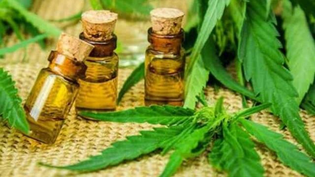 Proyecto de aceite de cannabis