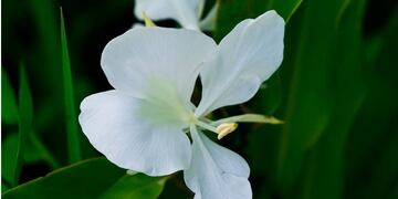 Consultorio viveroterapia\u002E