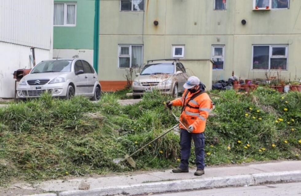 El Municipio efectuó tareas de limpieza en el B° 640