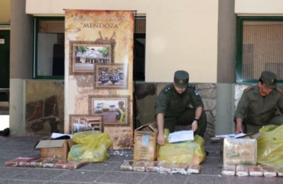 Secuestran 25 kilos de marihuana en la Terminal de Ómnibus