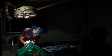 Ponen en marcha la primera Unidad de Trasplante de médula en Neuquén