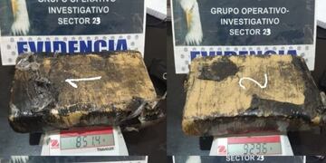 Incautaron 16 mil dosis de marihuana en el norte salteño (Gendarmería)