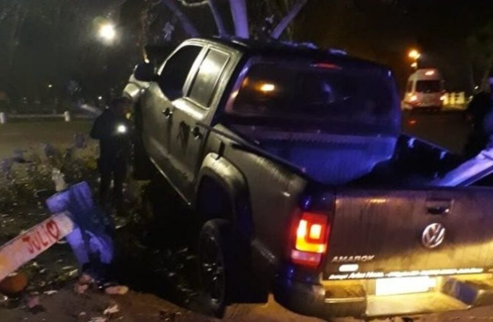 Un adolescente derribó un árbol tras impactarlo con su camioneta