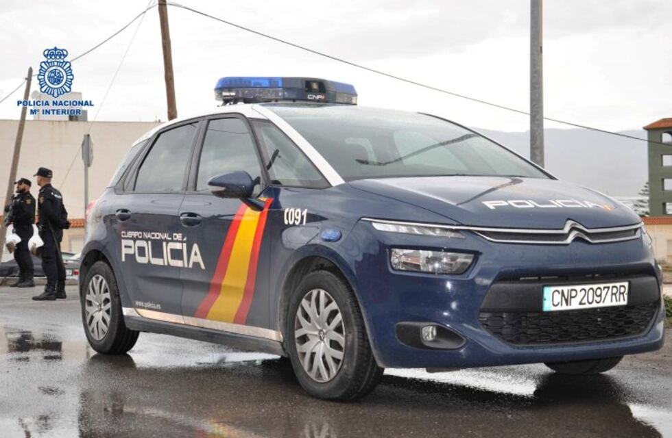 España: detuvieron a un hombre que mató a golpes a cinco cachorros