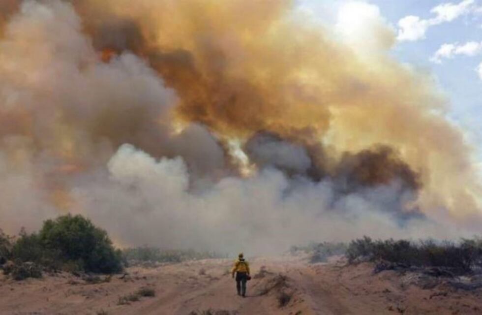 Sobre los incendios en el sur de Mendoza: "La situación no está para nada controlada"