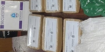 Un llamado al Fonodroga permitió dar con la mercadería ilegal\u002E