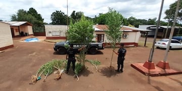 Droga en Puerto Rico\u002E