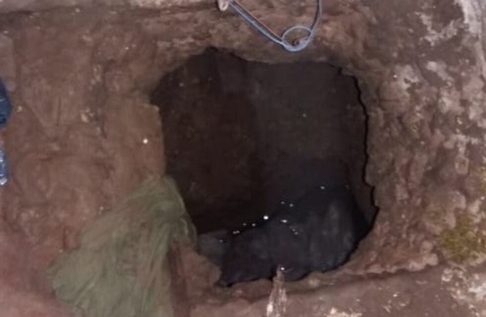 El video de cómo encontraron un túnel en plena celda de la cárcel de Zeballos y Ricchieri