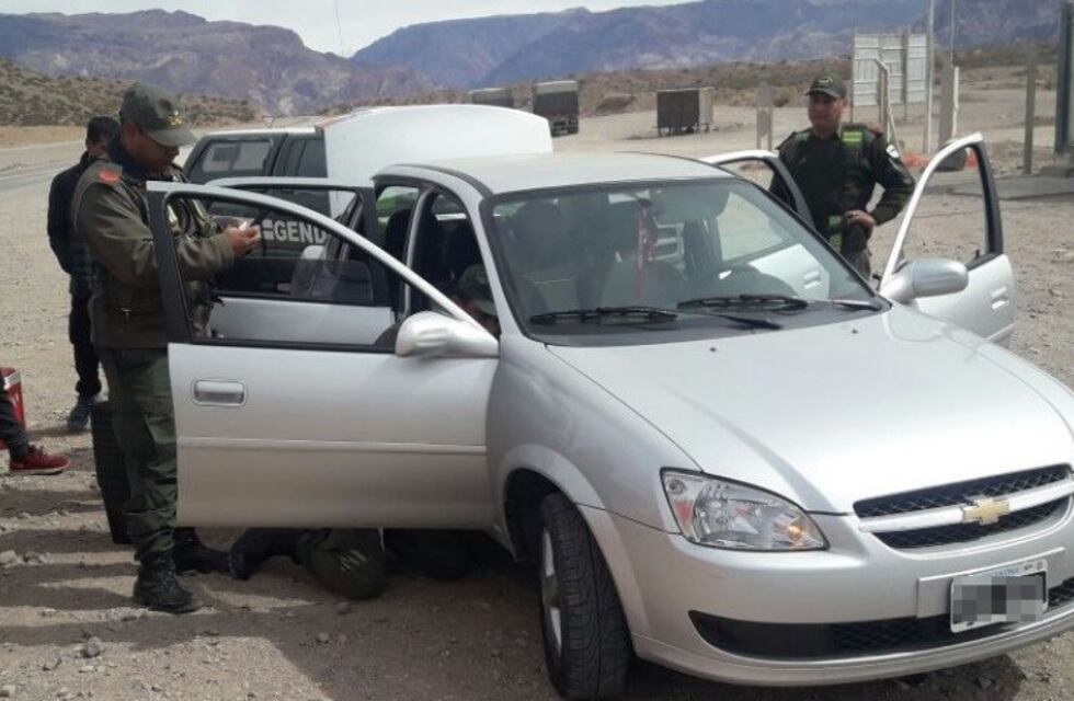 Mendoza: secuestran 7 mil semillas de marihuana y detienen a dos hombres