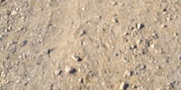 Villa Parque Santa Ana: conducía un vehículo robado y quedó detenido\u002E