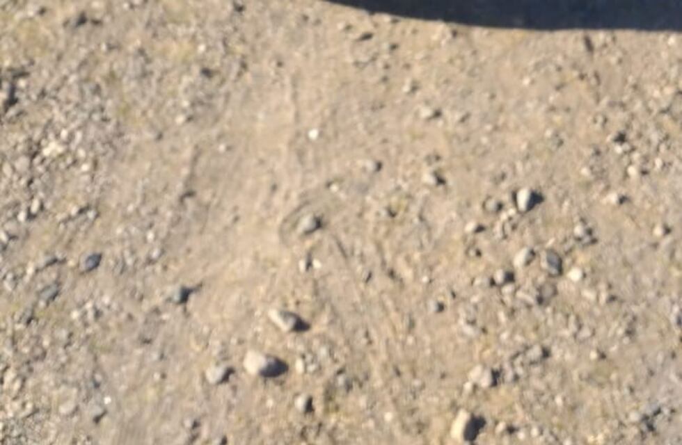 Villa Parque Santa Ana: conducía un vehículo robado y quedó detenido