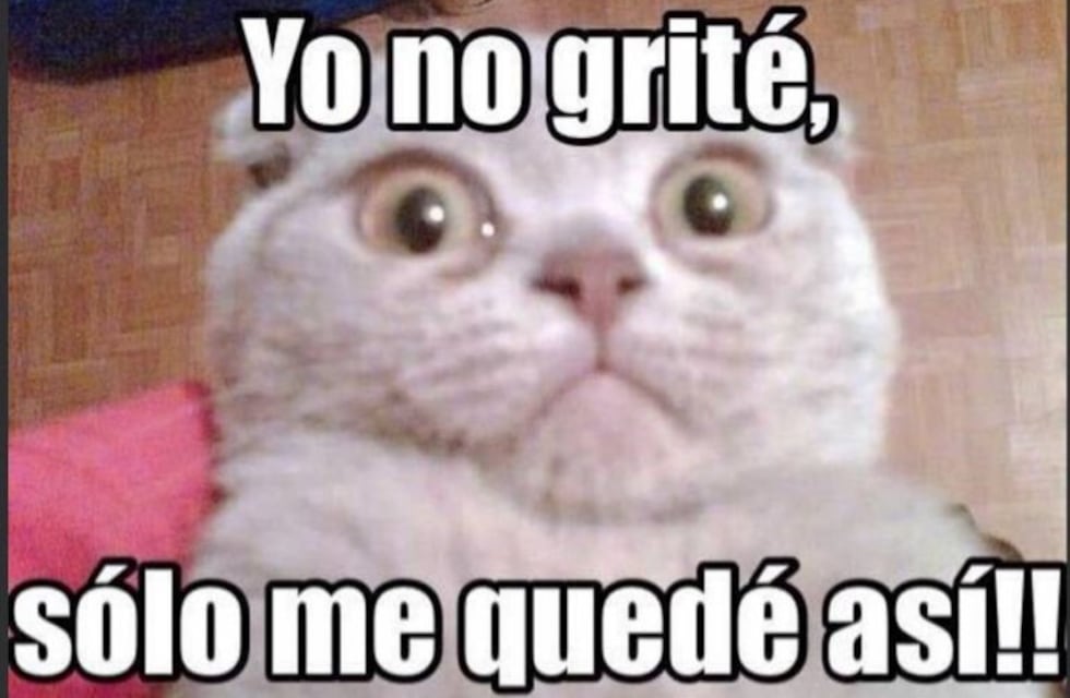 Cuando pase el temblor: cómo lo sintieron los cordobeses y el humor tras el susto