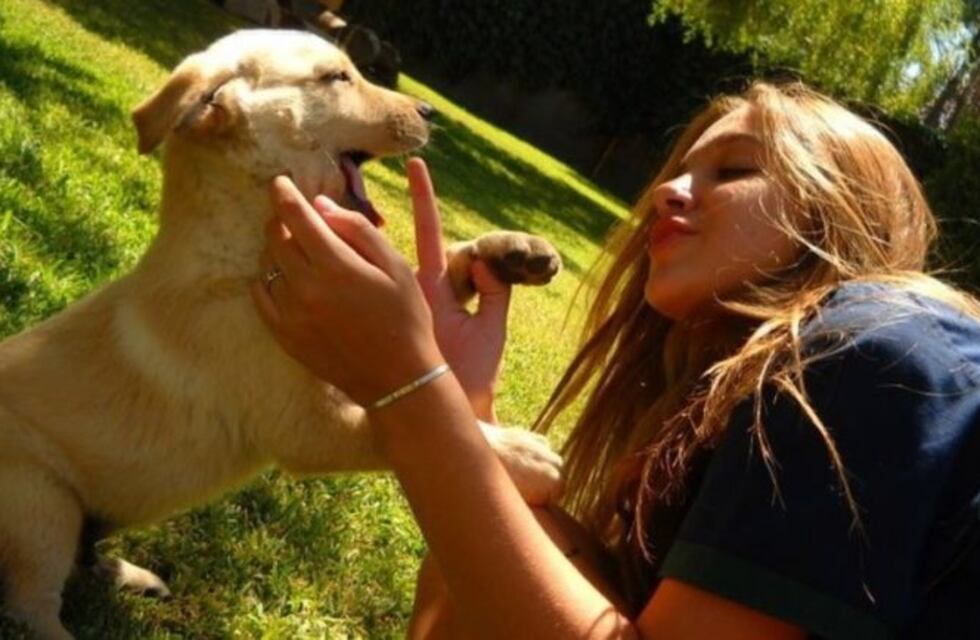 Gracias a Instagram encontró a su perro después de 5 años