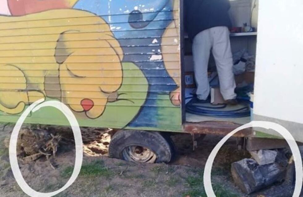 Quirófano veterinario móvil: solicitan mejor sus condiciones