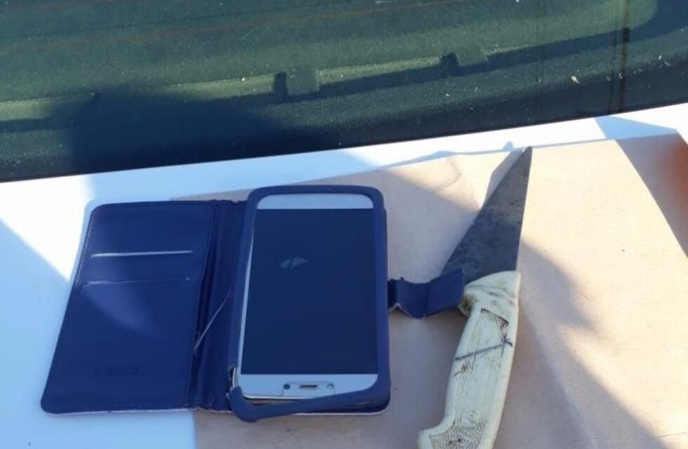 Detuvieron a dos hombres por robar un celular